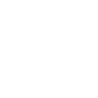 100 simulations in parallel