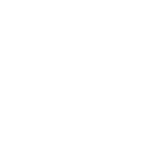 fessmann ran a total of 300 simulations