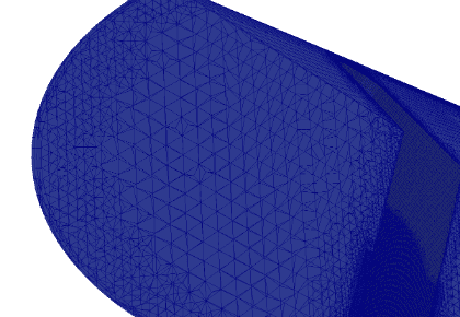 Mesh of the Valve Design