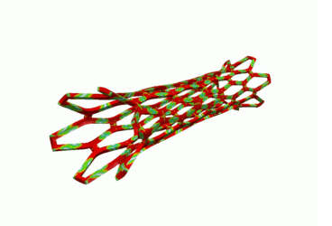 biomedical workshop stent
